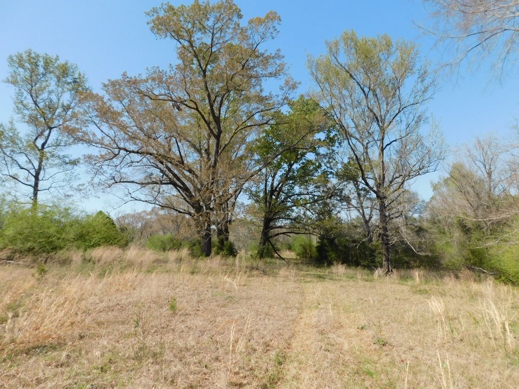 Picture 12