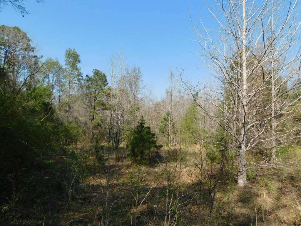 Picture 23