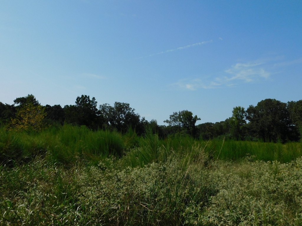 Picture 4