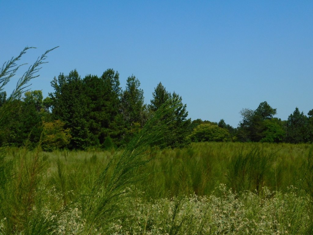 Picture 7