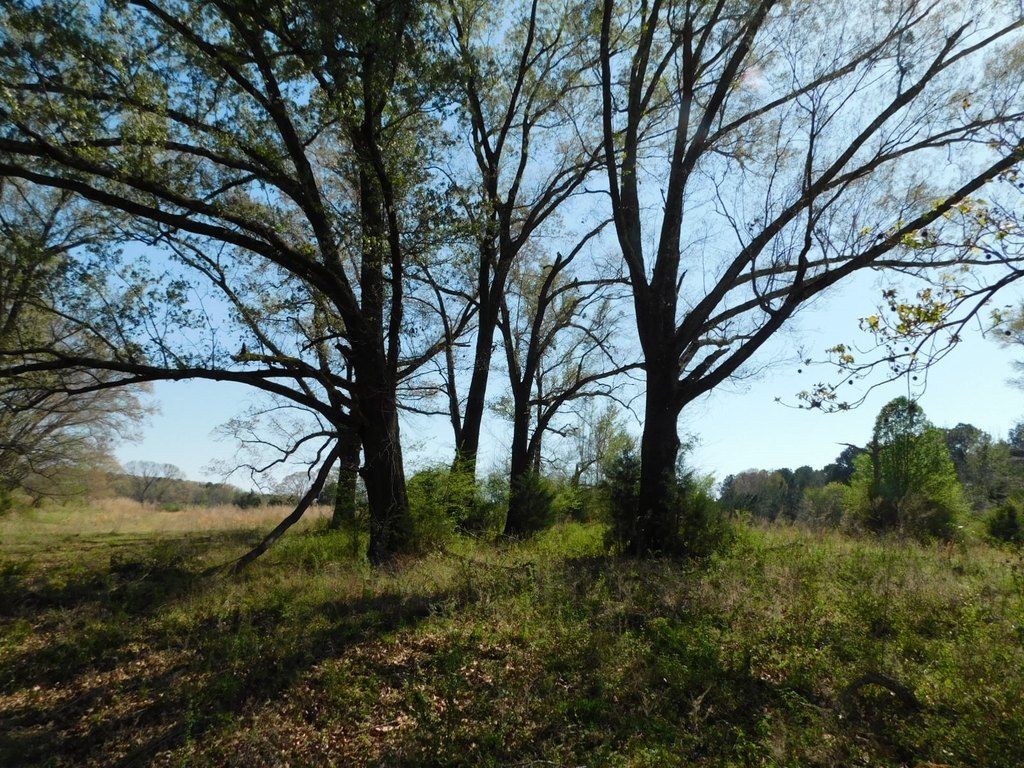 Picture 16