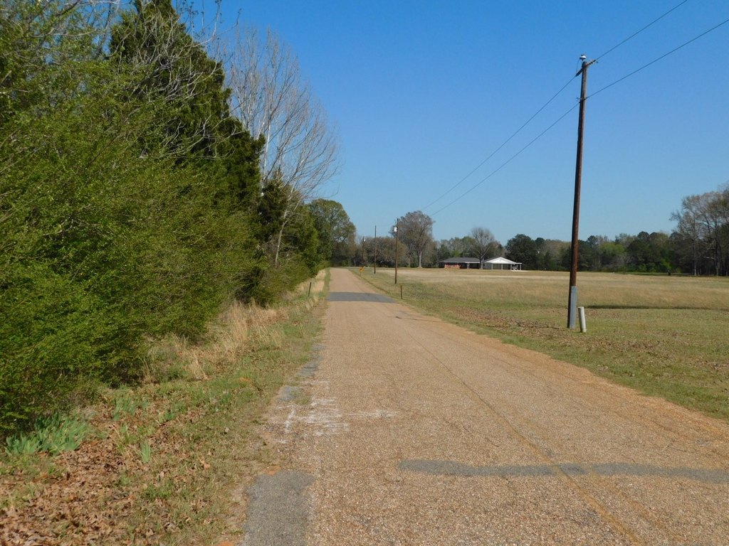 Picture 25