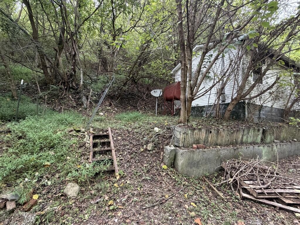 Picture 4