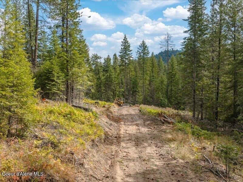 Picture 7