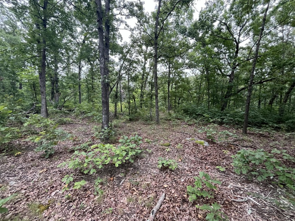 Picture 15