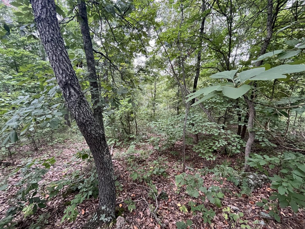 Picture 27