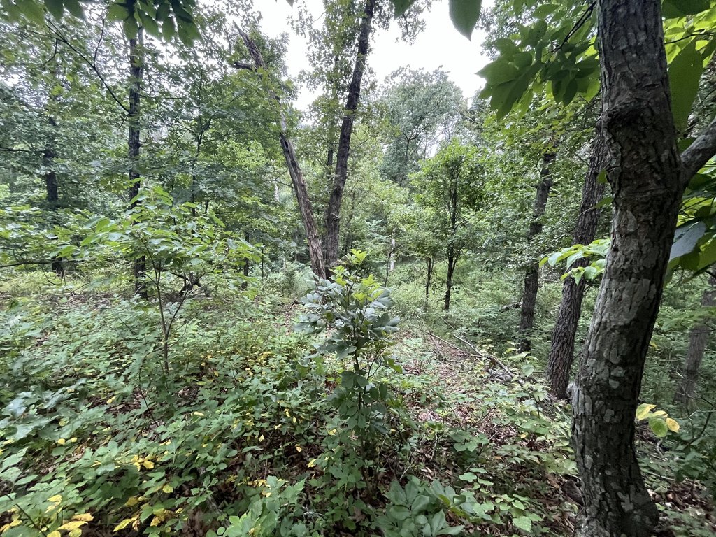 Picture 23