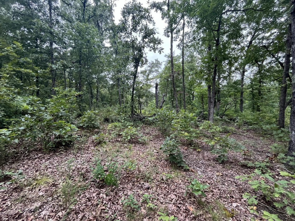 Picture 16