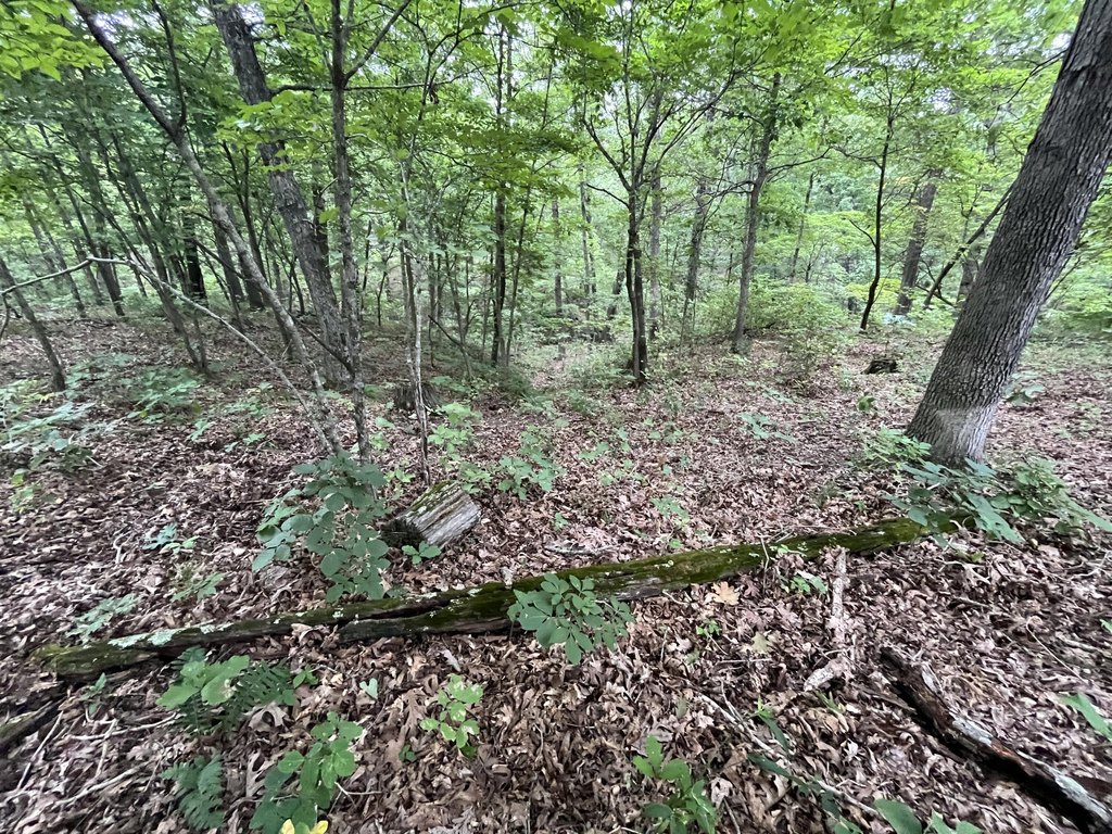 Picture 12