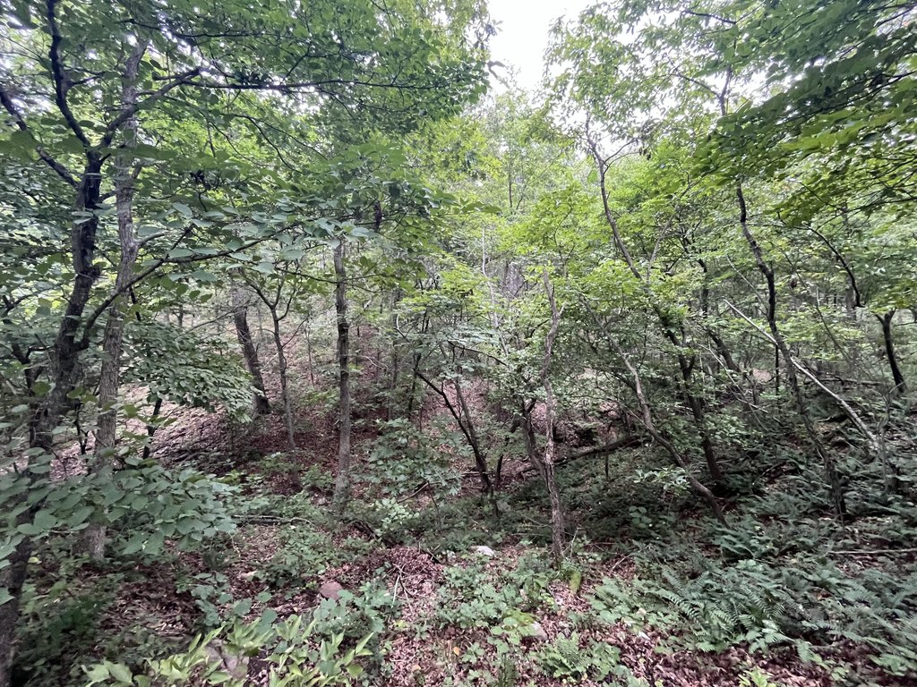 Picture 30