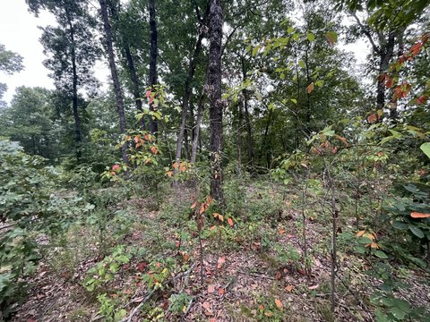 LAND - Climax Springs, MO