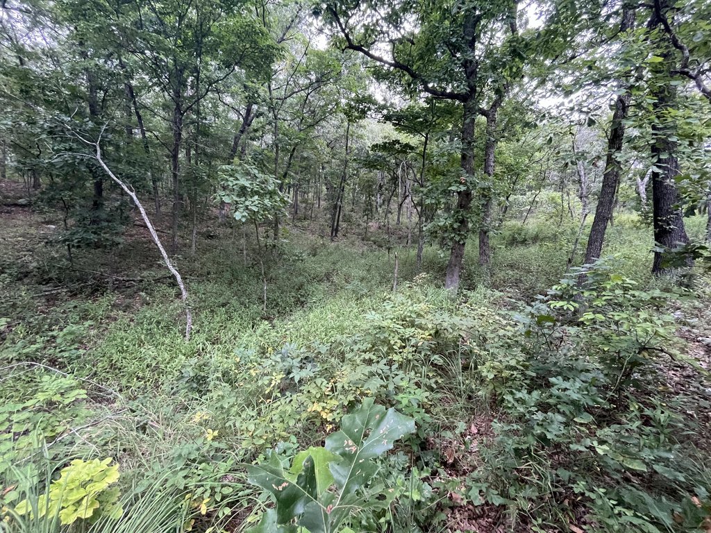 Picture 25