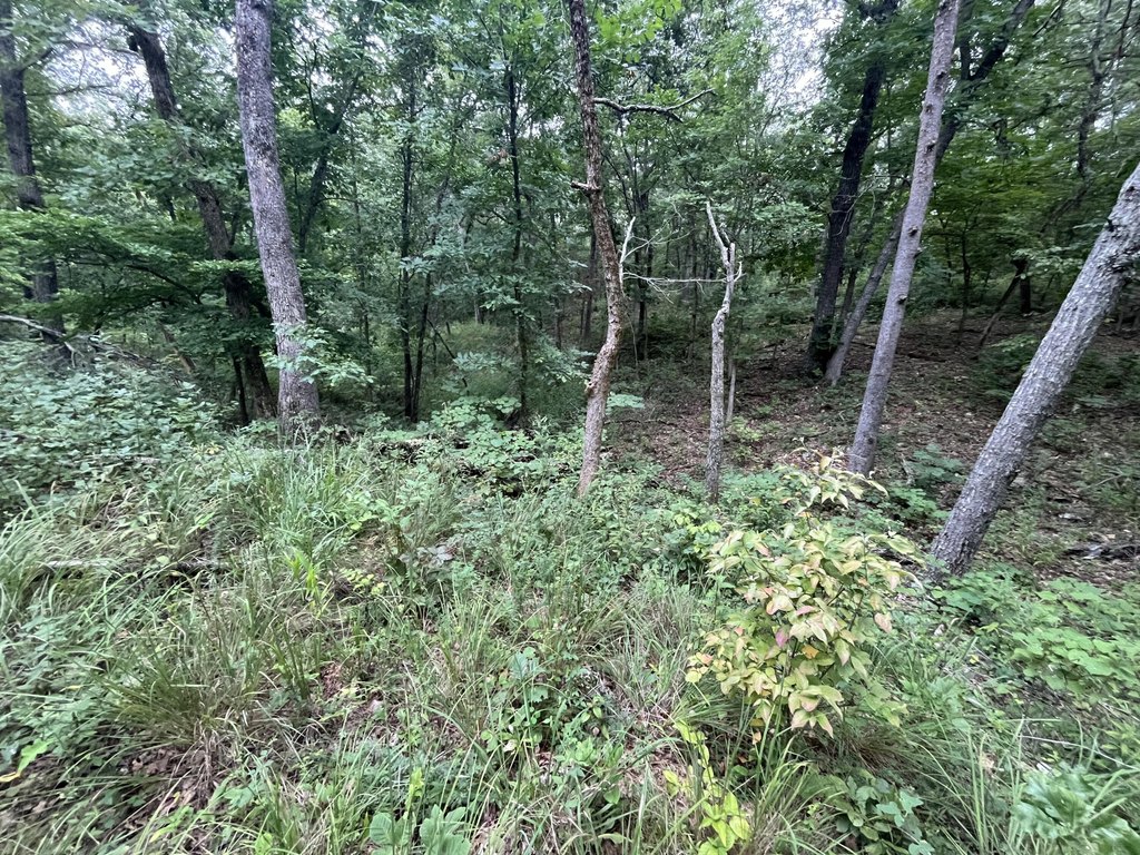 Picture 26