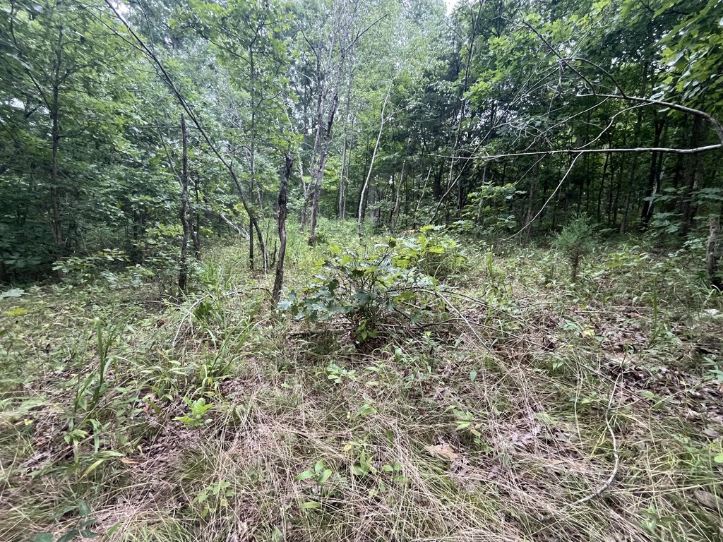 Picture 10