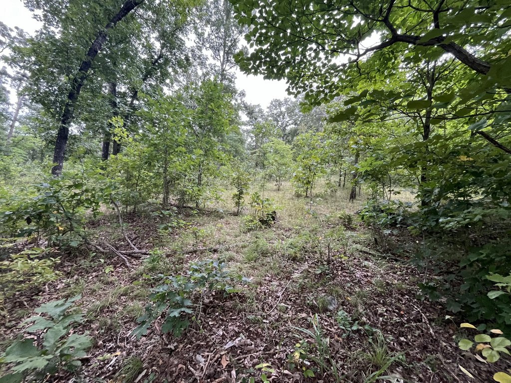 Picture 31