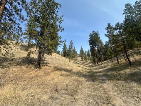 Recreational Land with Center Road