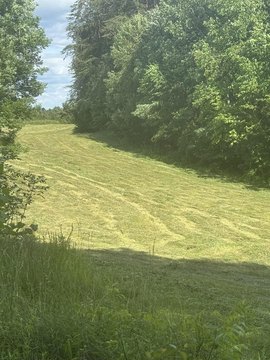 Versatile Land in Columbia, KY