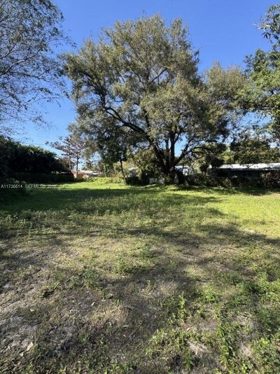 Picture 10