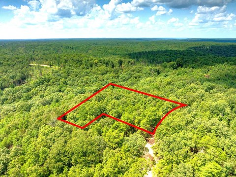 Wooded Land Parcel
