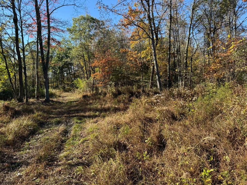 Picture 43