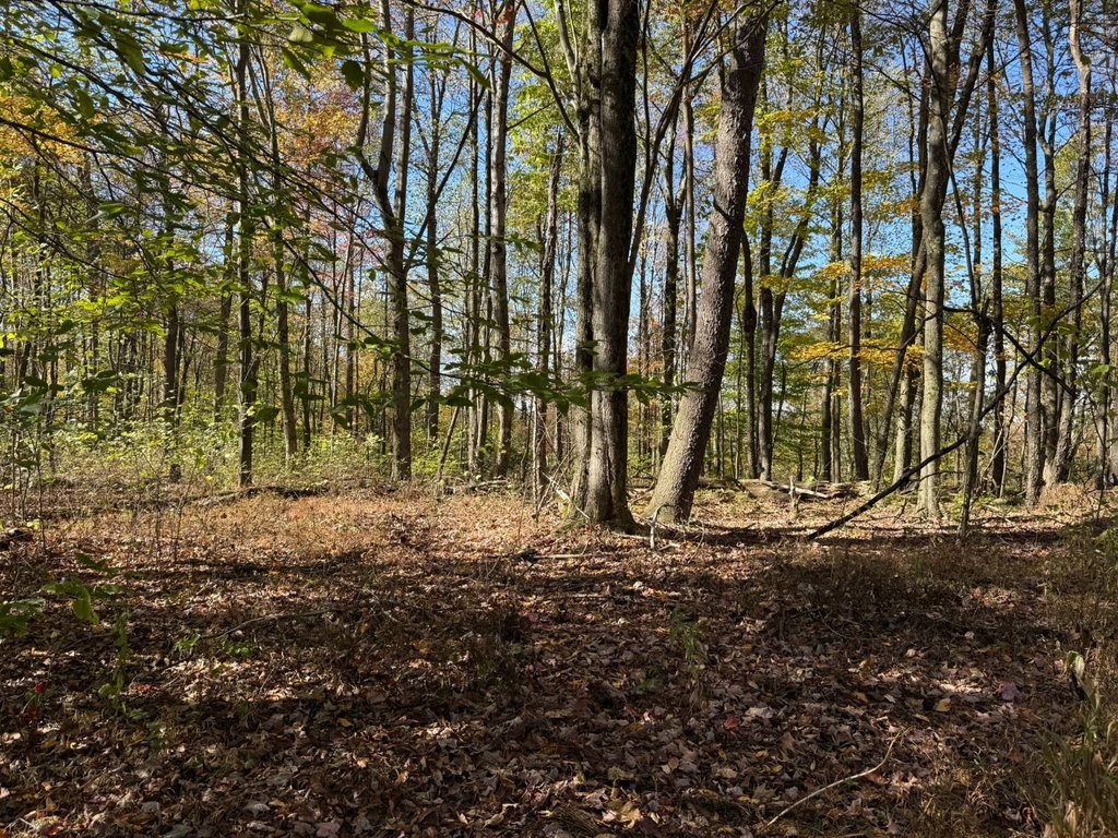 Picture 19