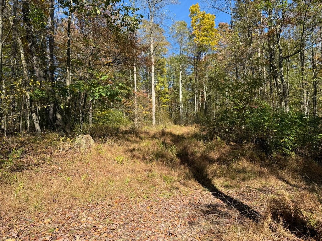 Picture 15