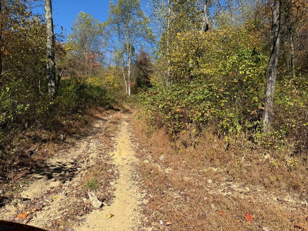 Picture 6