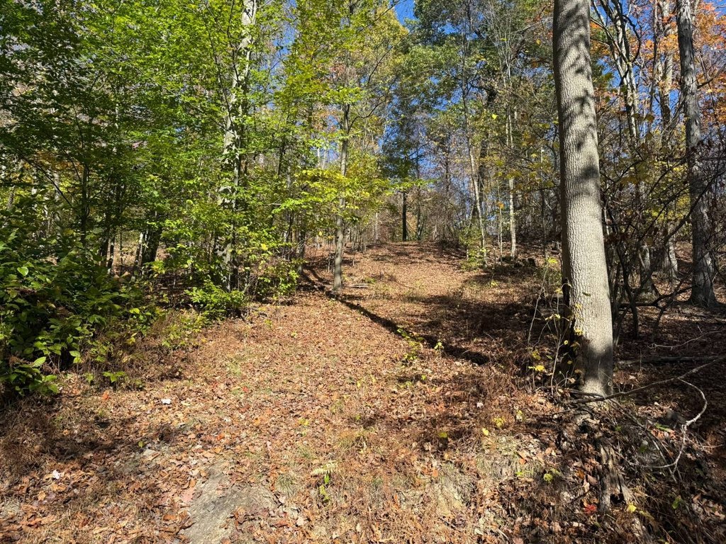 Picture 30