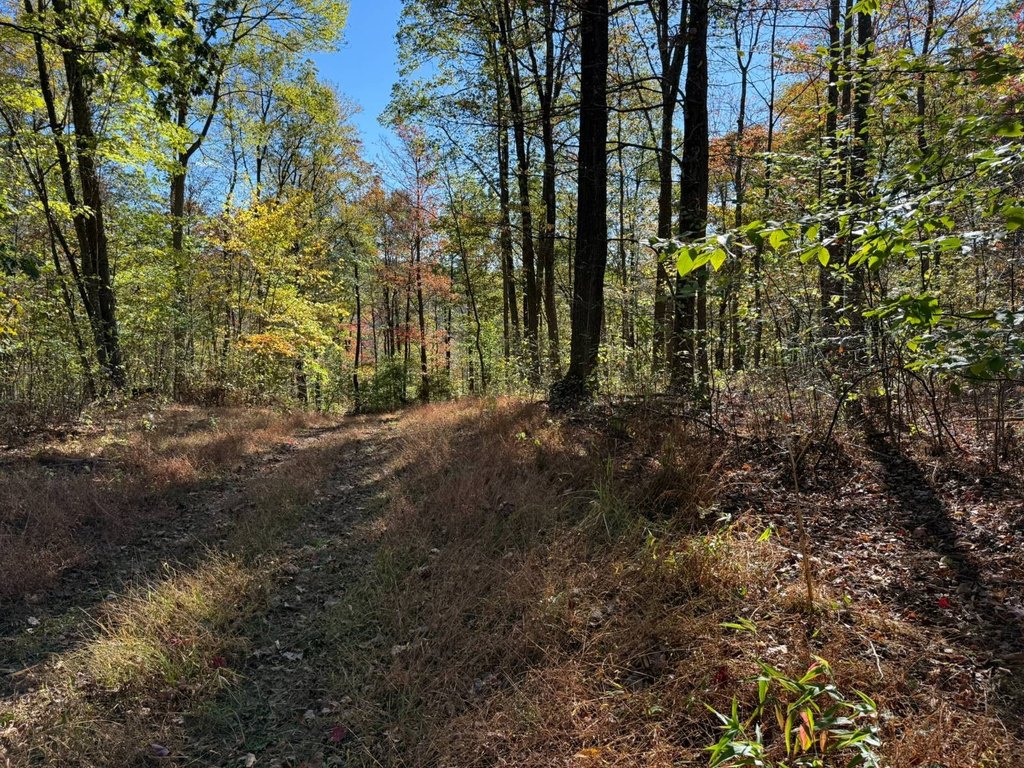 Picture 21