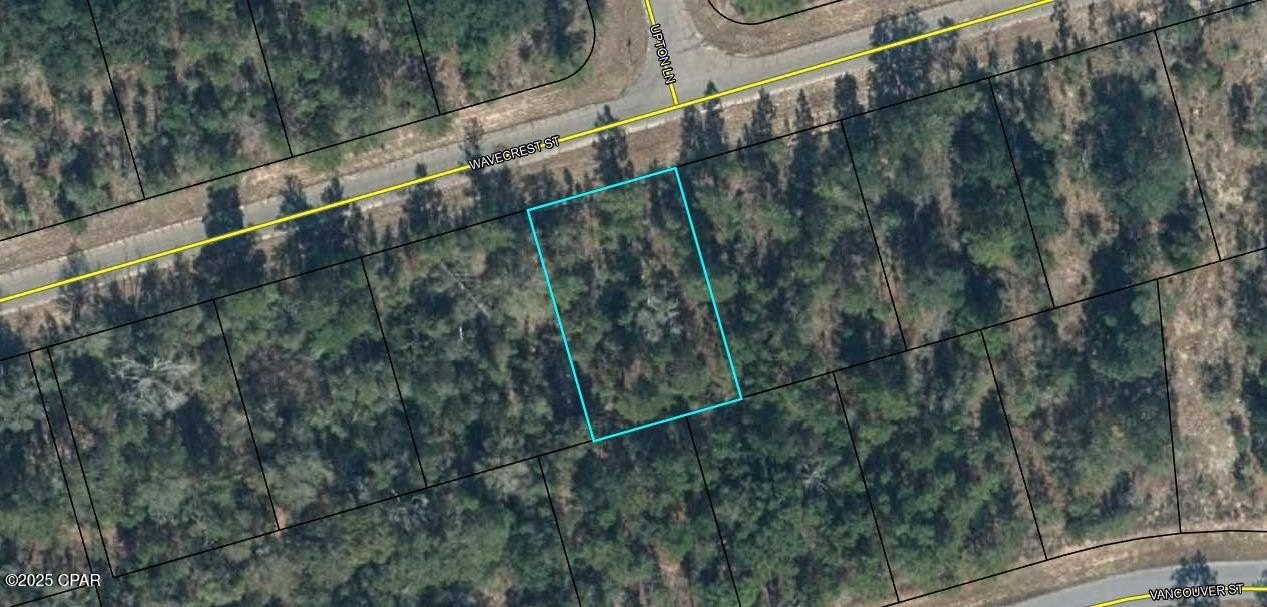 Residential Land in Sunny Hills