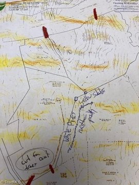 Hardwood Trees Overlooking Dan River