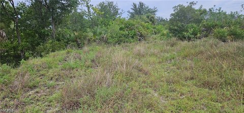 LAND - Cape Coral, FL