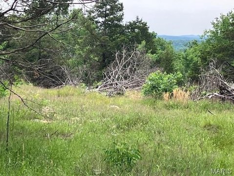 LAND - Fredericktown, MO