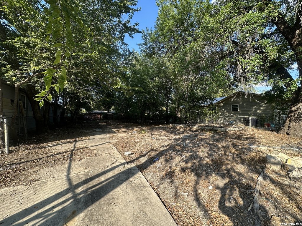 Picture 6