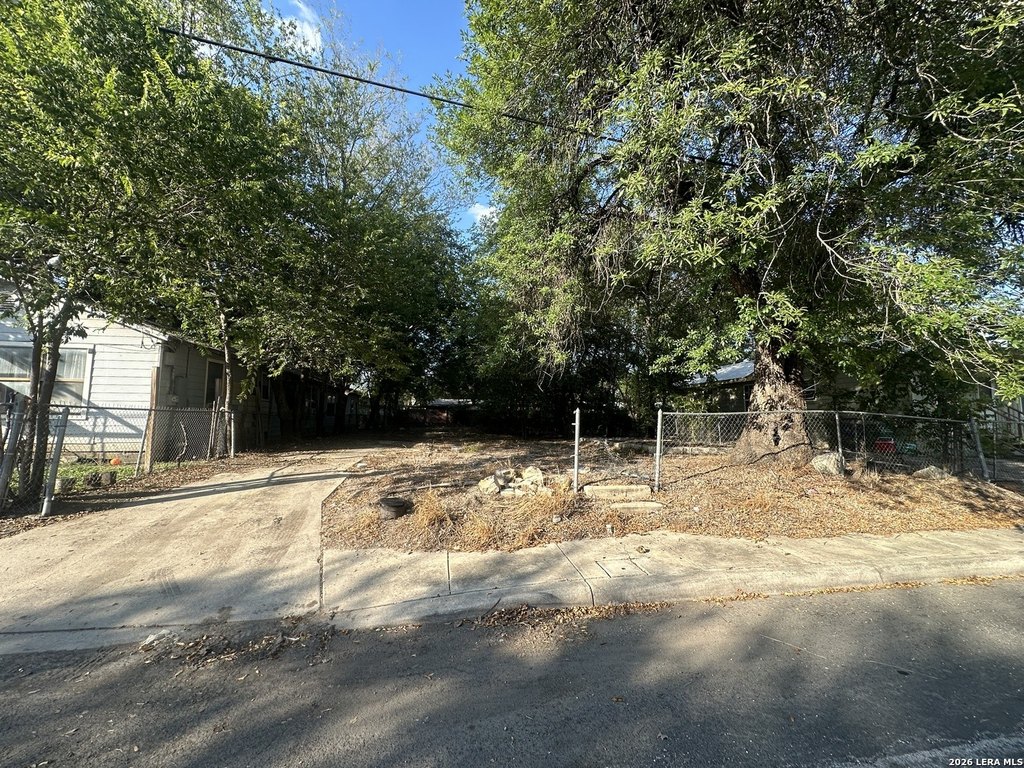 Picture 3