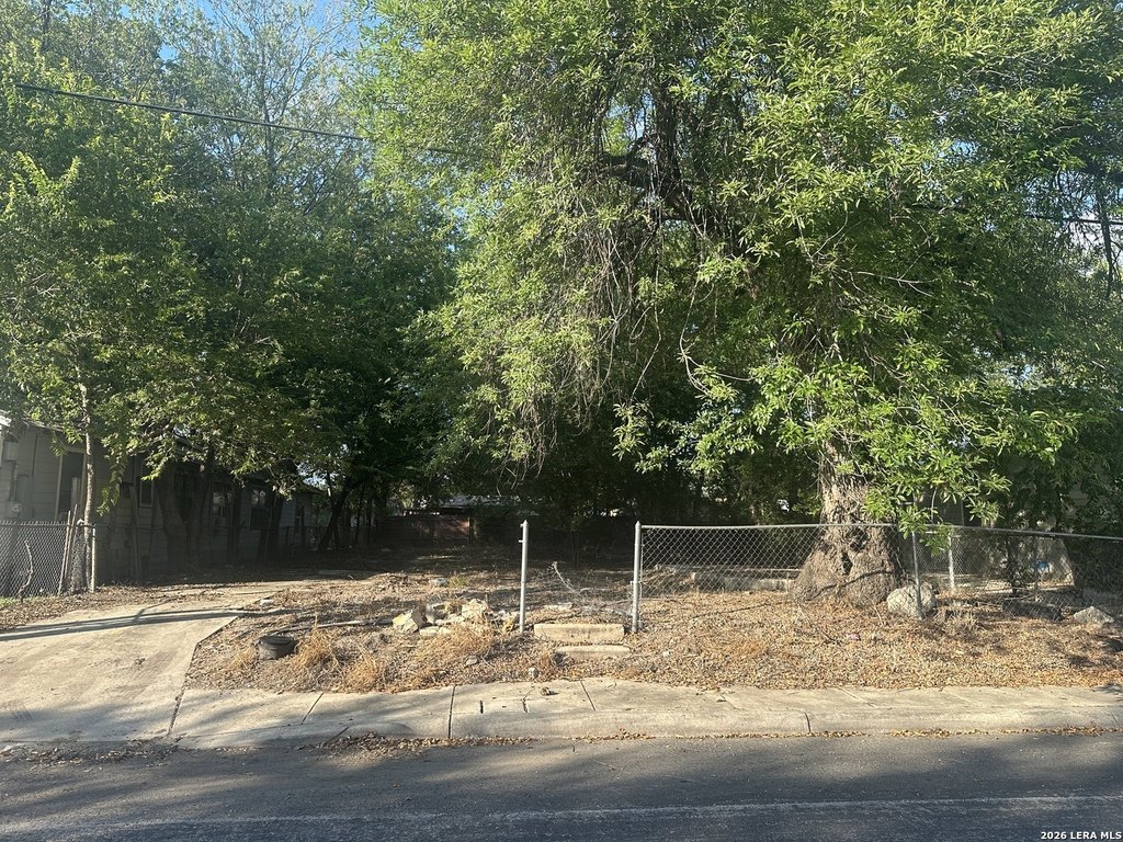 Picture 2