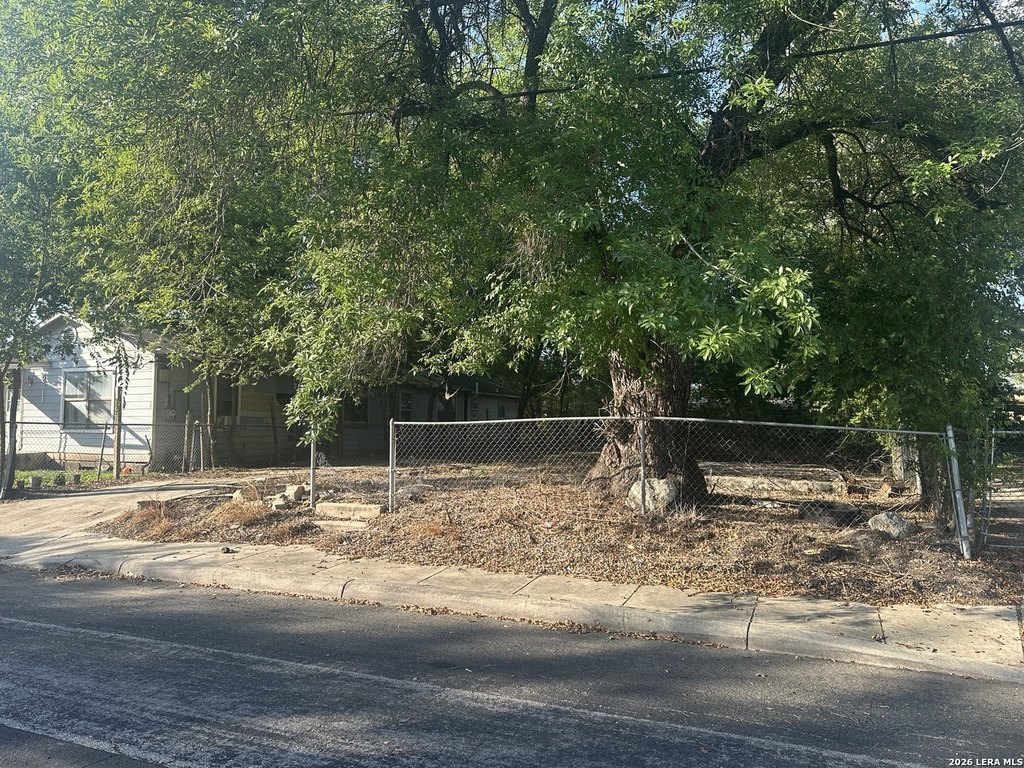 Picture 5