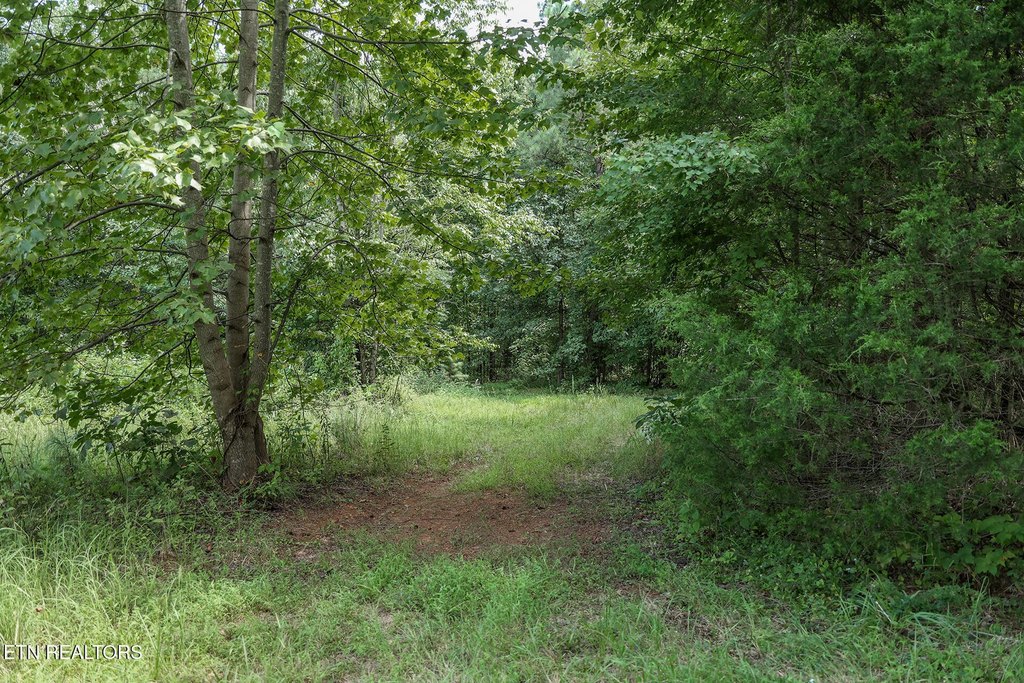 Picture 19