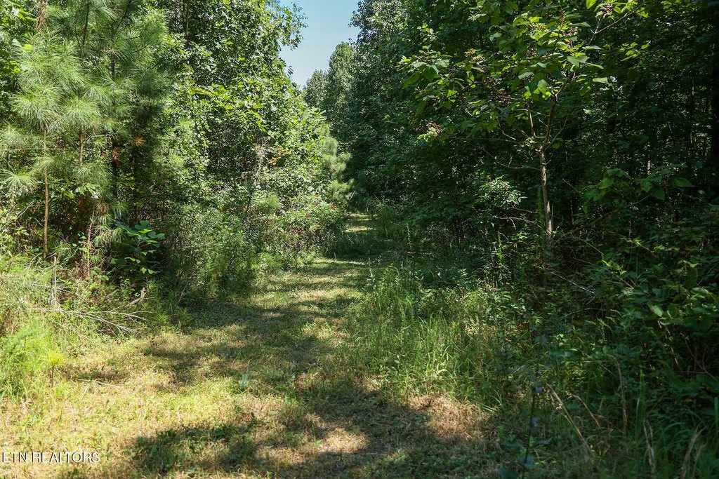 Picture 9