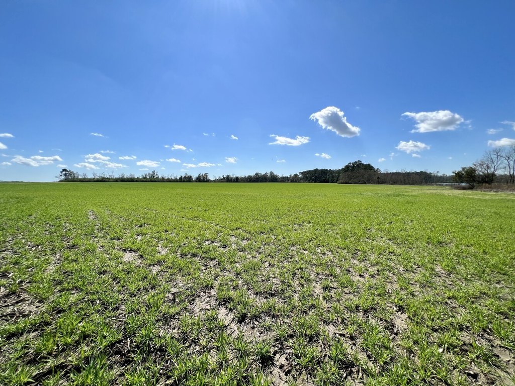 Picture 21