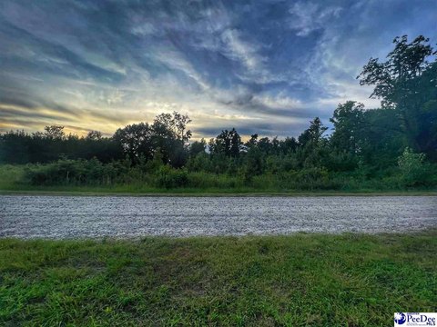 Cleared Residential Lot by Lake