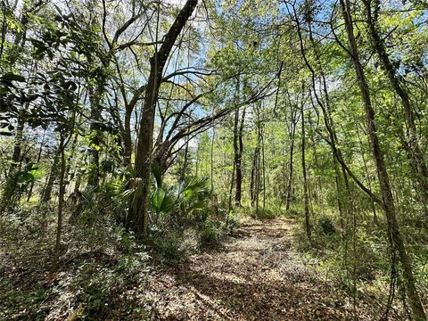 Ocala Land in Rainbow Park