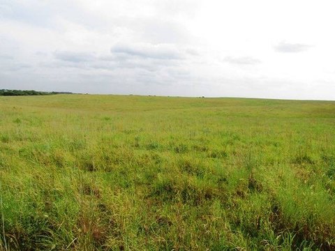 Agricultural Land with Pond Potential