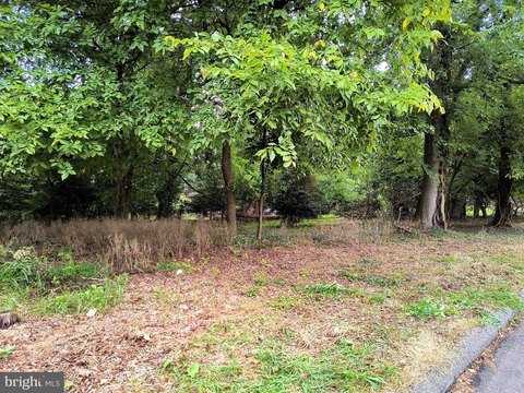 Half Acre Buildable Land