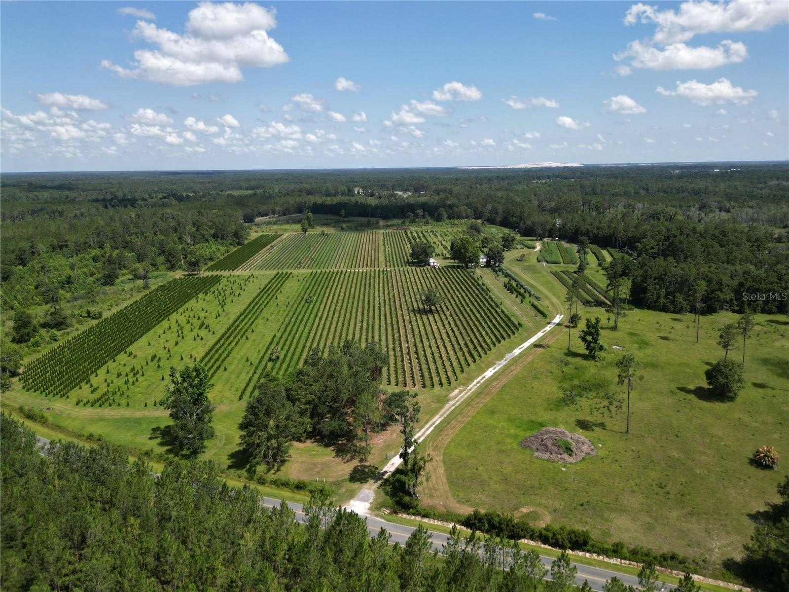 80 Acres of Natural Beauty