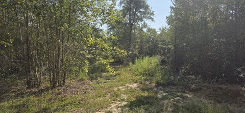 Land, Aiken, SC