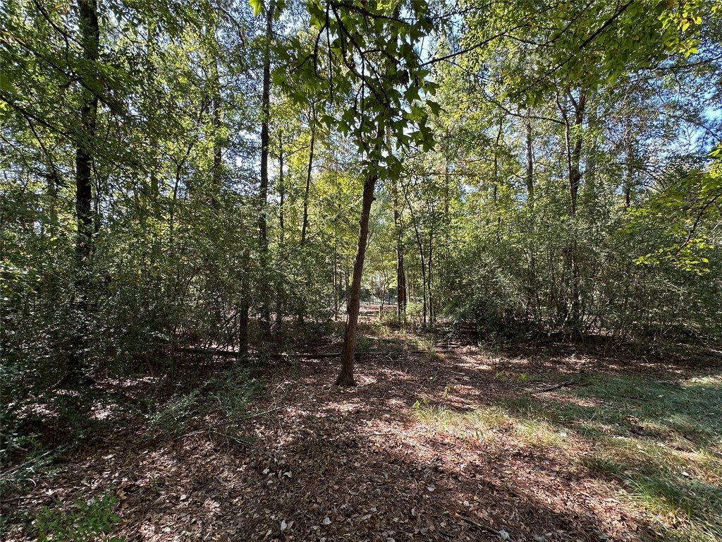 Picture 22