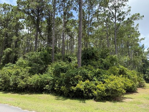 LAND - Eastpoint, FL