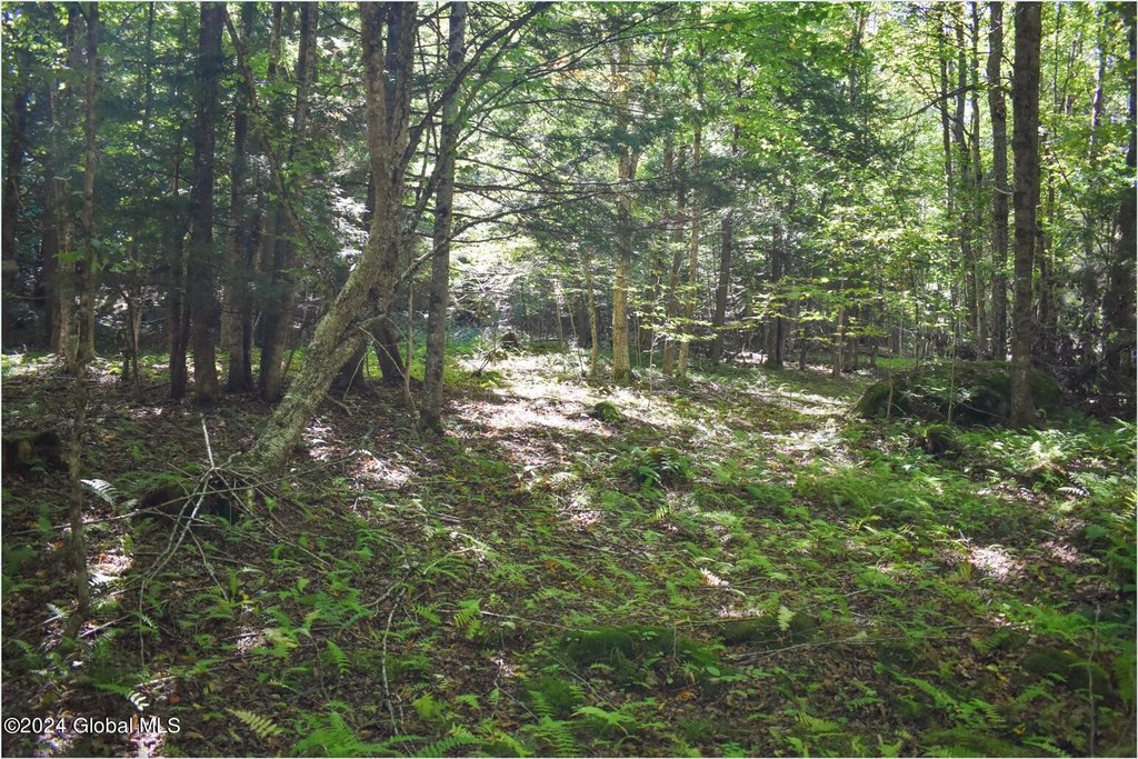 Picture 11