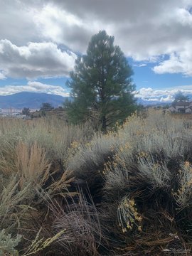Land, Tehachapi, CA